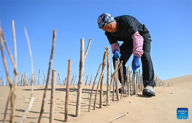 Mongolie intérieure : la bannière de Hanggin fait progresser ses efforts de contrôle du sable avec régularité