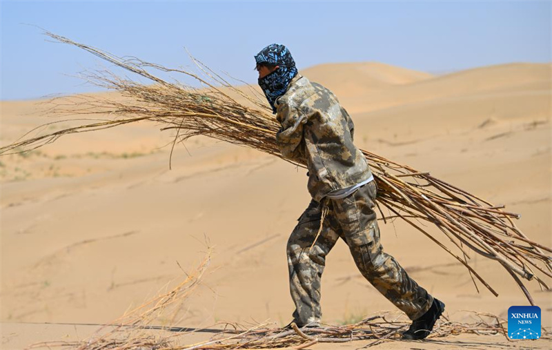Mongolie intérieure : la bannière de Hanggin fait progresser ses efforts de contrôle du sable avec régularité