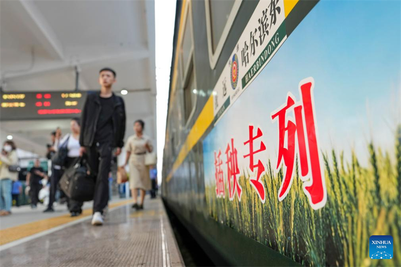 Heilongjiang : un train dédié amène des transplanteurs de riz dans la plaine de Sanjiang