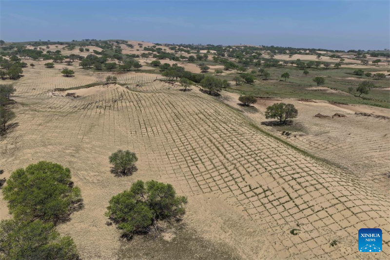 Photo aérienne prise par un drone le 13 mai 2026, montrant le désert de Hunshandake, dans la bannière de Zhenglan de la Ligue de Xilingol, dans la région autonome de Mongolie intérieure (nord de la Chine). (Li Zhipeng/Xinhua)