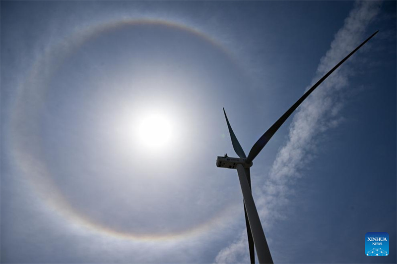 Mongolie intérieure : le développement de l'industrie des énergies nouvelles dans la bannière de Zhenglan