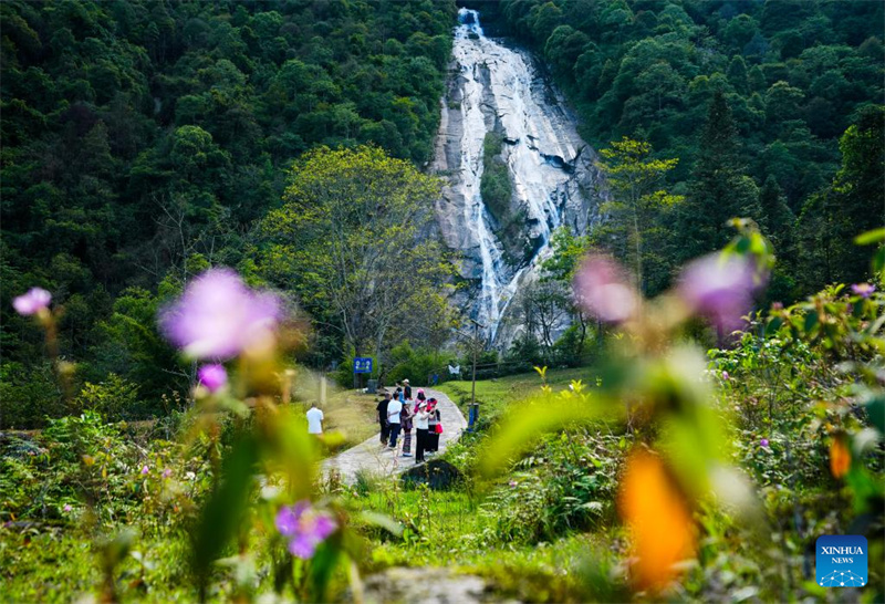 Yunnan : les regroupements de cascades de Ladeng attirent les touristes