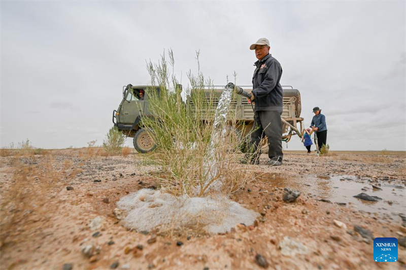 Mongolie intérieure : comment un agent local de lutte contre la désertification a consacré 19 ans à transformer le désert en oasis