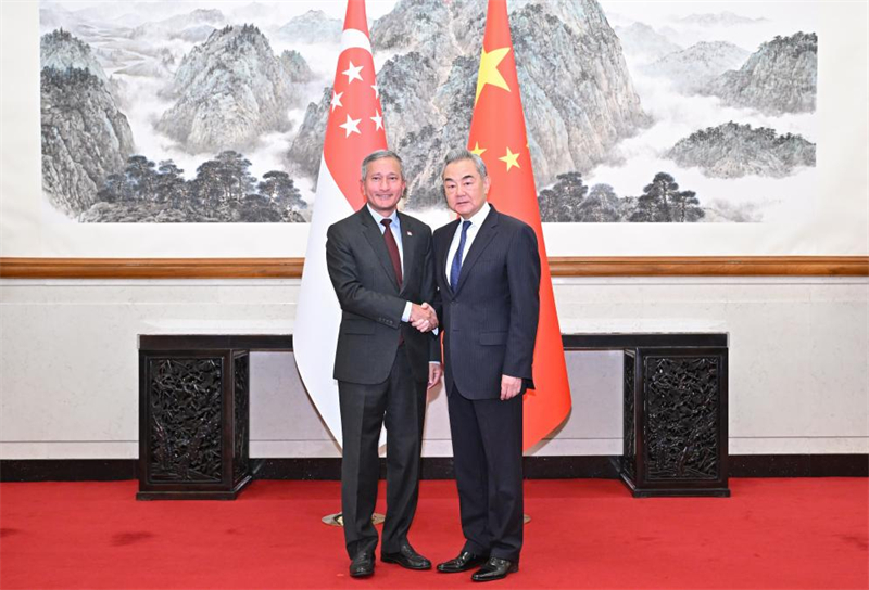 (Xinhua/Yue Yuewei)