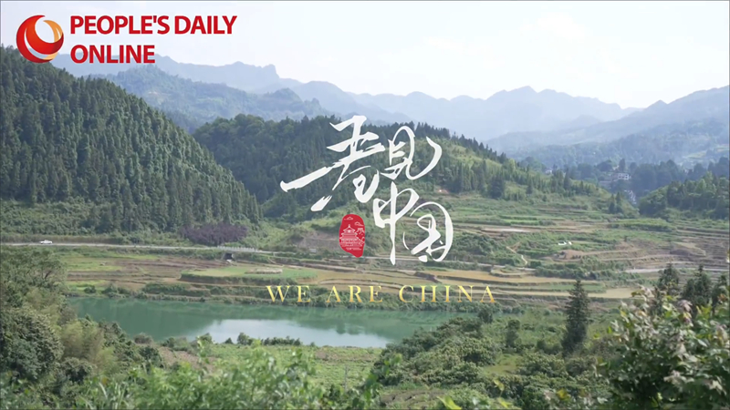Guizhou : à Tongren, le matcha est partout