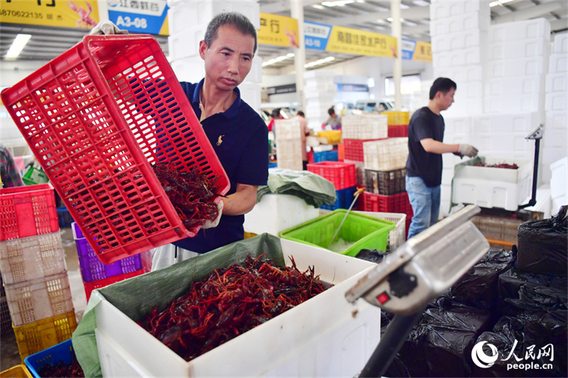 Jiangxi : les écrevisses nagent vers le grand marché à Yongxiu
