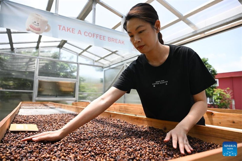 Guangdong : l'industrie du café prospère à Jiangmen