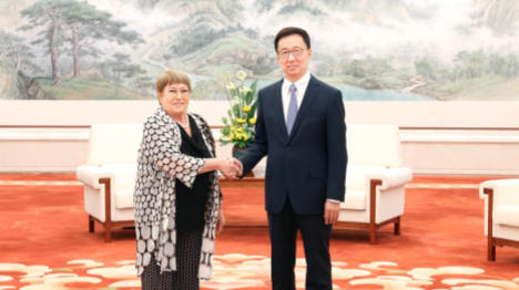 Le vice-président chinois rencontre Michelle Bachelet, candidate au poste de secrétaire général de l'ONU