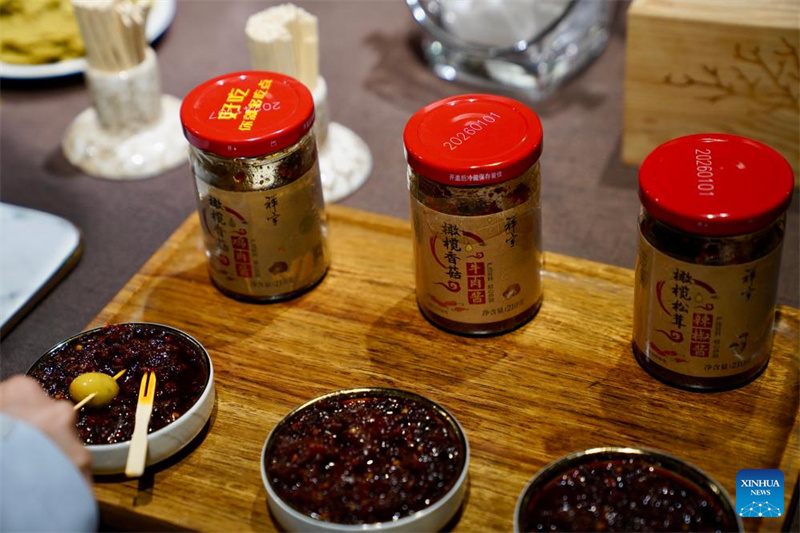 Gansu : l'industrie de l'olive prospère à Wudu