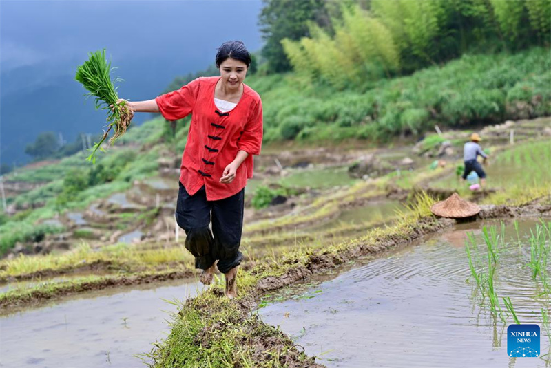 Fujian : l'histoire d'une jeune entrepreneure dédiée à la revitalisation rurale par un travail acharné