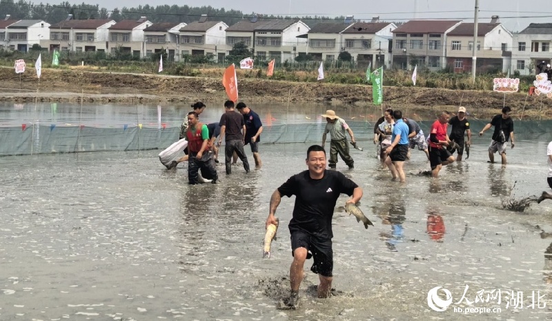 Hubei : découvrez la culture du riz et l'élevage des crevettes et profitez de l'ambiance rurale à Qianjiang