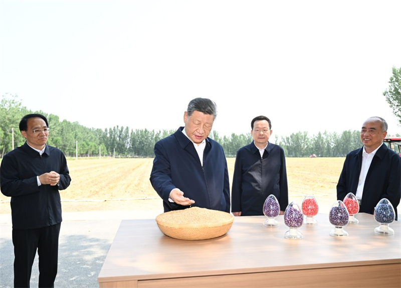 (Xinhua/Yan Yan)