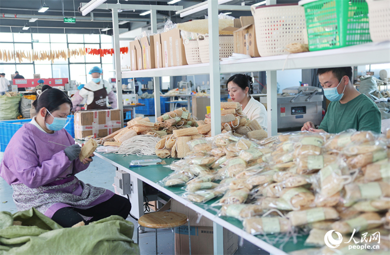 Henan : les produits en éponge de luffa atteignent les marchés mondiaux depuis le comté de montagne isolé de Shangcheng