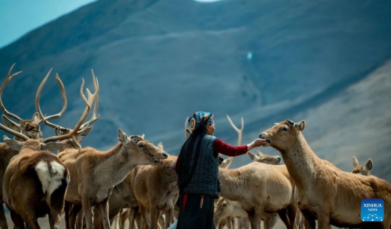 (Xinhua)