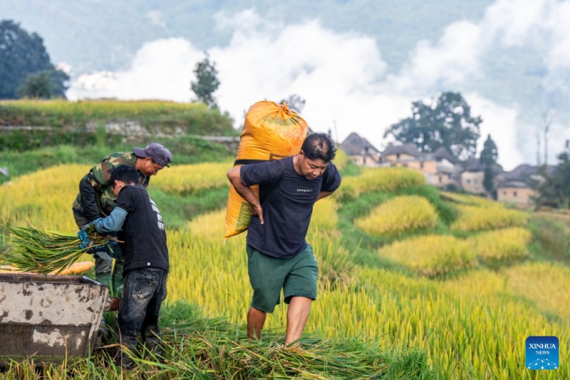 Yunnan : à la découverte des rizières en terrasses des Hani à Yuanyang