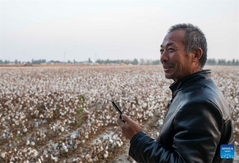 Xinjiang : un producteur de coton de Shawan saisit de nouvelles opportunités grâce à la modernisation agricole