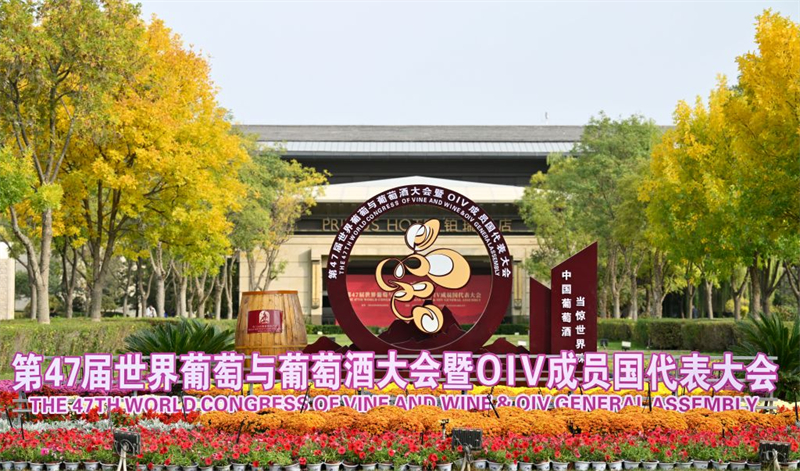 (Xinhua/Wang Peng)