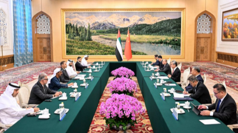Le plus haut diplomate chinois rencontre l'envoyé spécial du président des Emirats arabes unis pour les affaires chinoises