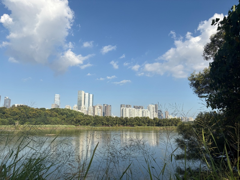 Les Gratte-ciel de Shenzhen vus depuis la réserve naturelle de Futian, dans la province du Guangdong (sud de la Chine). (RAKOTONIRINA ZO LALAINA/Le Quotidien du Peuple en ligne)