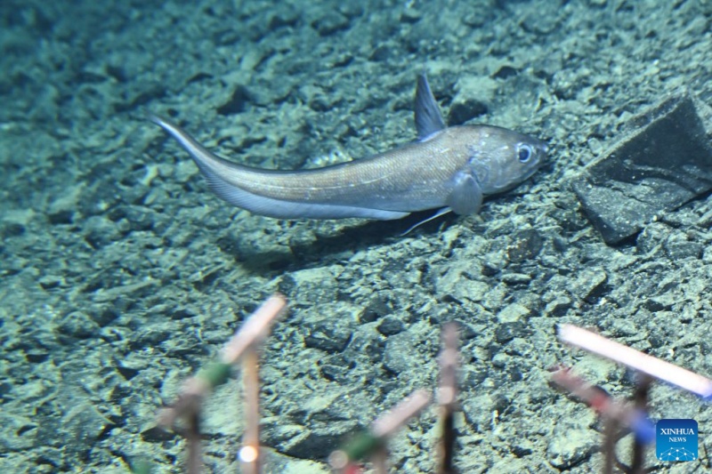 Le submersible habité chinois Jiaolong réalise sa 470e plongée en grande profondeur dans le Pacifique ouest