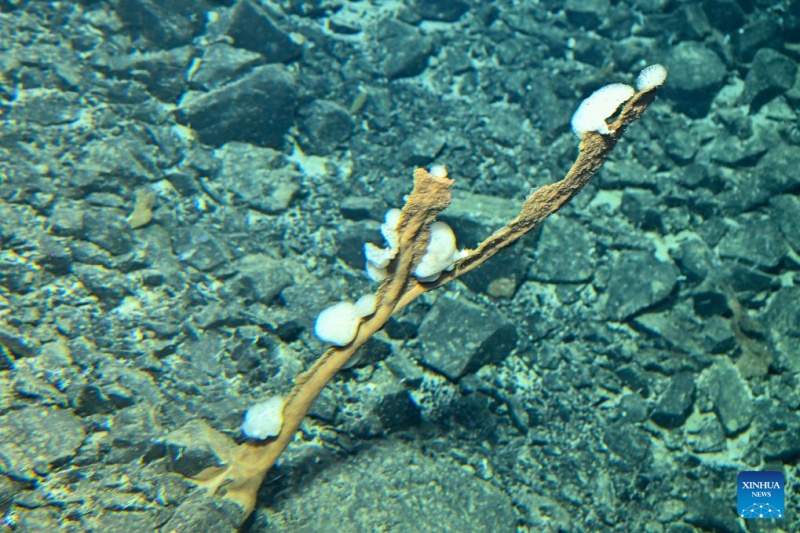 Le submersible habité chinois Jiaolong réalise sa 470e plongée en grande profondeur dans le Pacifique ouest