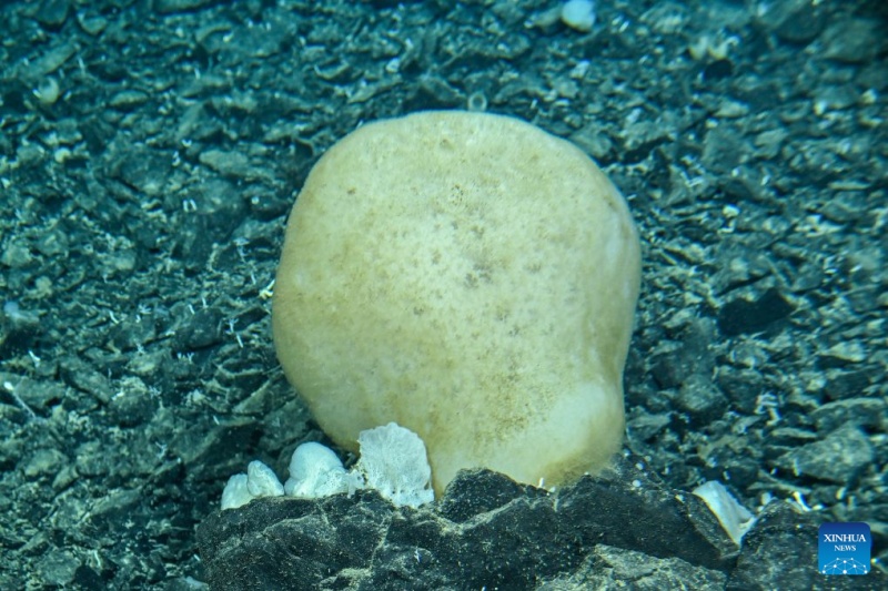 Le submersible habité chinois Jiaolong réalise sa 470e plongée en grande profondeur dans le Pacifique ouest