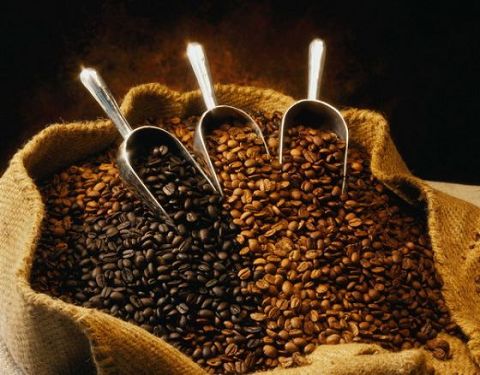 Le café arabica