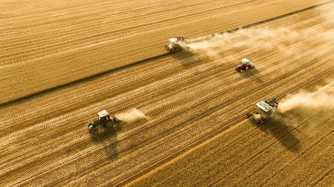 La Chine s'attend à une récolte céréalière exceptionnelle