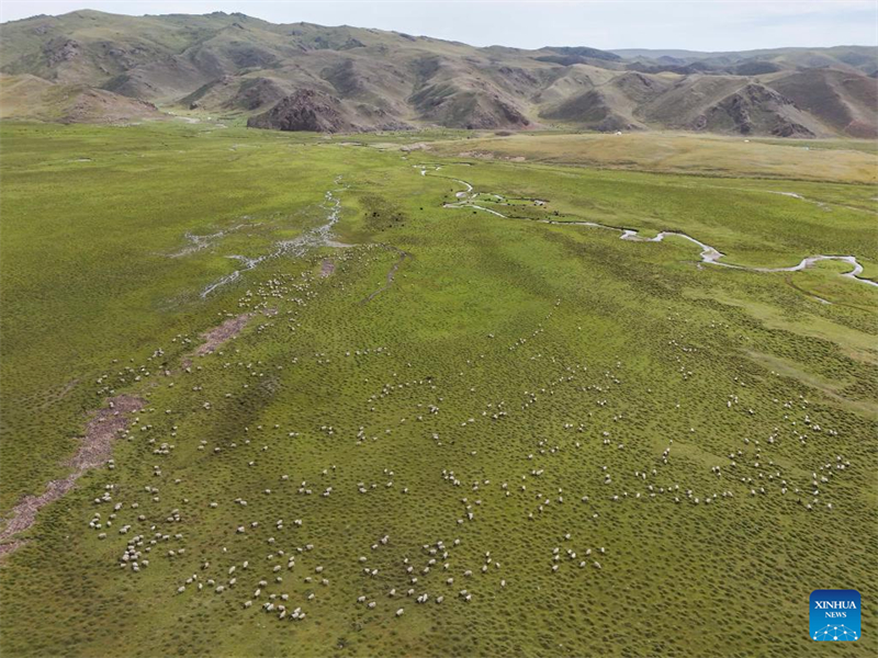 Xinjiang : l'autoroute Duku enregistre un boom du tourisme en été