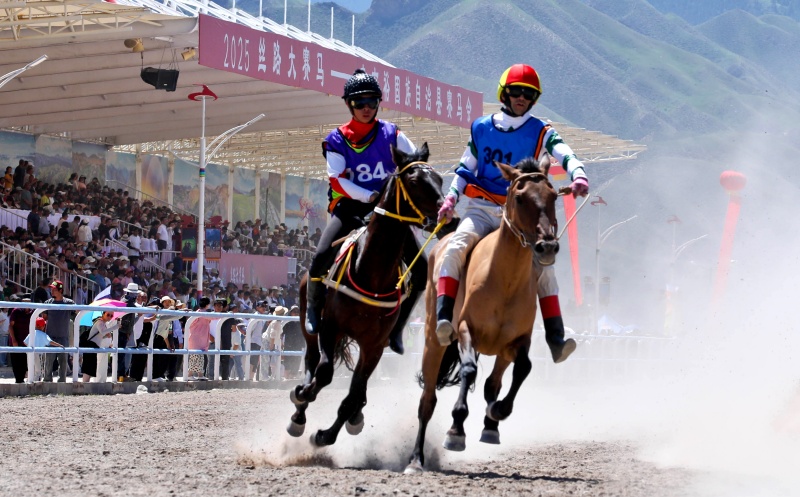 Gansu : une spectaculaire course de chevaux sur la prairie à Zhangye