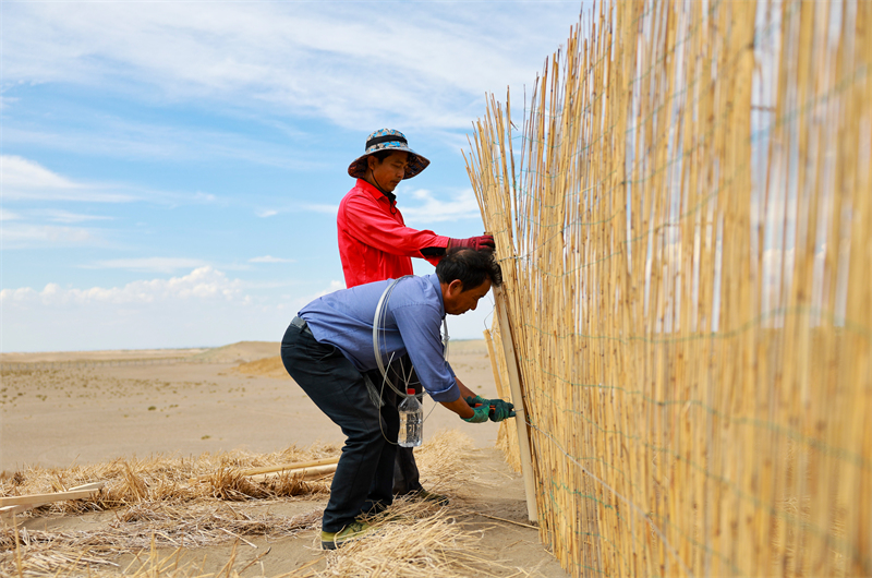 Gansu : la pose de barrages contre les tempêtes de sable habillent le désert de vêtements verts à Jinta
