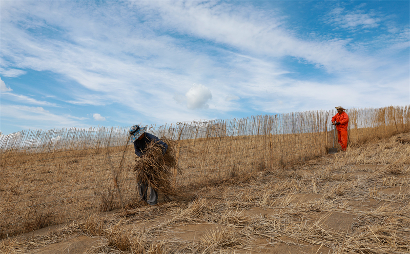 Gansu : la pose de barrages contre les tempêtes de sable habillent le désert de vêtements verts à Jinta
