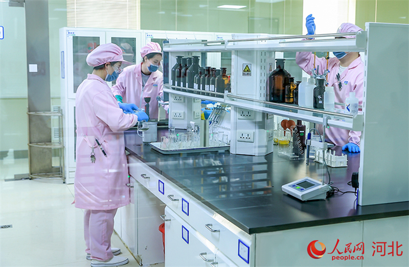 Hebei : la vie heureuse d'une vache sur la ferme Junlebao à Shijiazhuang