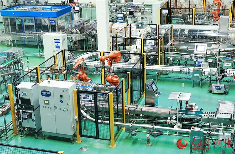 Hebei : la vie heureuse d'une vache sur la ferme Junlebao à Shijiazhuang