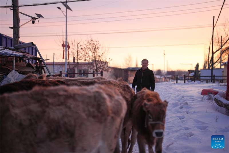 Xinjiang : un député à l'APN dédié à la revitalisation rurale