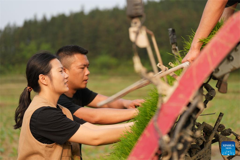 Hunan : une nouvelle agricultrice apporte innovation et compétences sur le terrain à Chenzhou