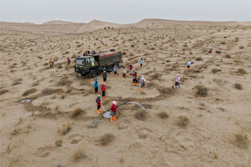 La Chine fait des progrès majeurs dans la lutte contre la désertification et partage ce qu'elle a appris avec le monde