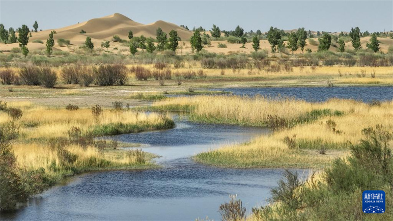 Mongolie intérieure : le paysage du désert de Kubuqi au début de l'été