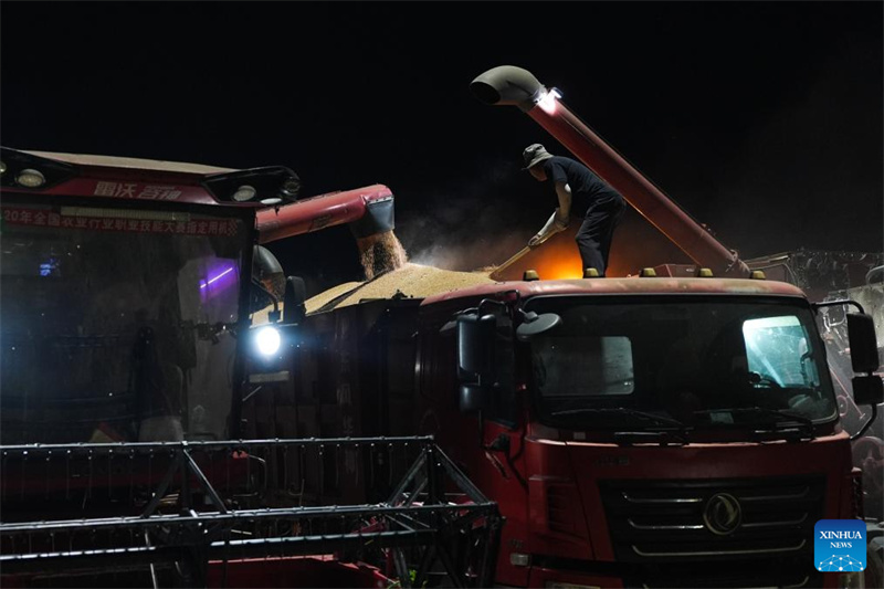 Anhui : un drone d'éclairage aide les machines agricoles à récolter le blé de nuit