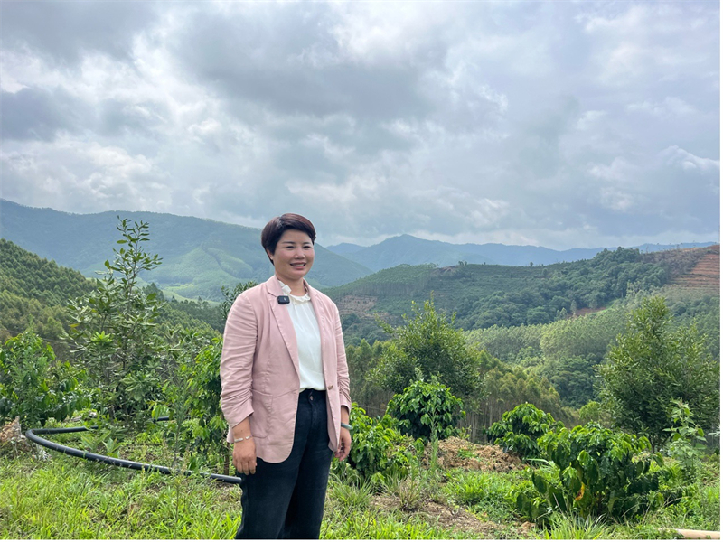 Le travail de Li Meiying l'emmène à travers les collines et les terres agricoles du comté de Menglian, dans la province du Yunnan (sud-ouest de la Chine). Elle connaît parfaitement toutes les marques de café locales et possède une connaissance approfondie de l'industrie du café de la région. (Kou Jie/Le Quotidien du Peuple en ligne)