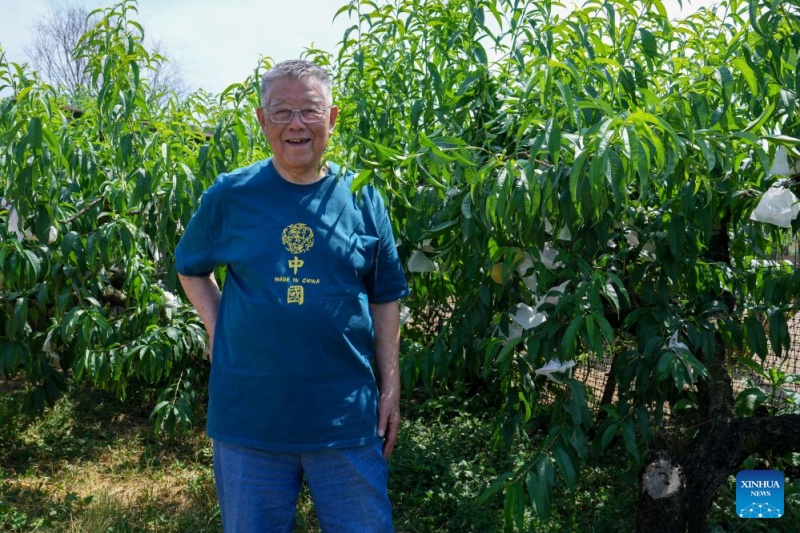 Jiangsu : un expert agricole a consacré plus de six décennies au développement rural de Zhenjiang
