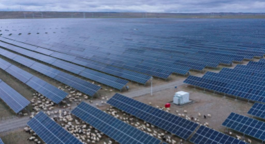 Qinghai : le modèle gagnant des « moutons photovoltaïques »