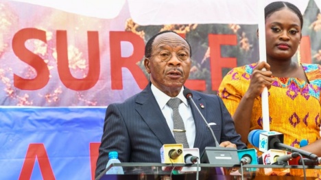 Cameroun : inauguration d'un pont construit par une entreprise chinoise dans le Centre du pays
