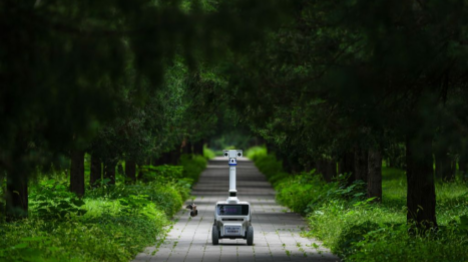 De nouveaux robots parcourent le parc du Temple du Ciel à Beijing
