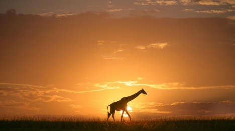 Les systèmes solaires chinois hors réseau répondent au défi du "dernier kilomètre" énergétique au Kenya