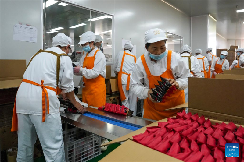 Yunnan : à l'approche de la Fête de la mi-automne, les fabricants de gâteaux de lune de Xuanwei tournent à plein régime