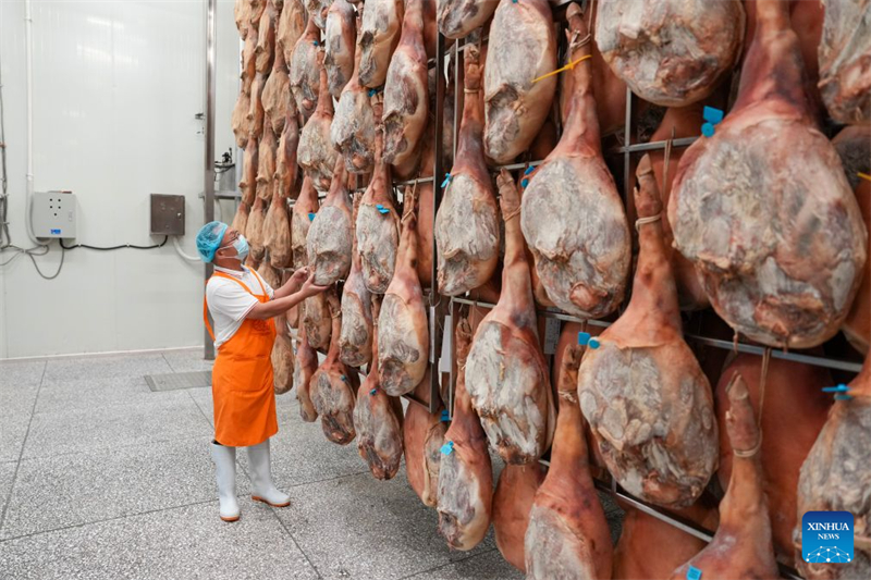 Yunnan : à l'approche de la Fête de la mi-automne, les fabricants de gâteaux de lune de Xuanwei tournent à plein régime