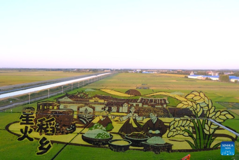 Heilongjiang : la principale province céréalière de Chine transforme ses rizières en attractions touristiques