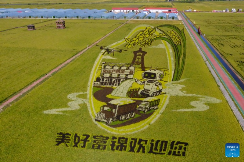 Heilongjiang : la principale province céréalière de Chine transforme ses rizières en attractions touristiques