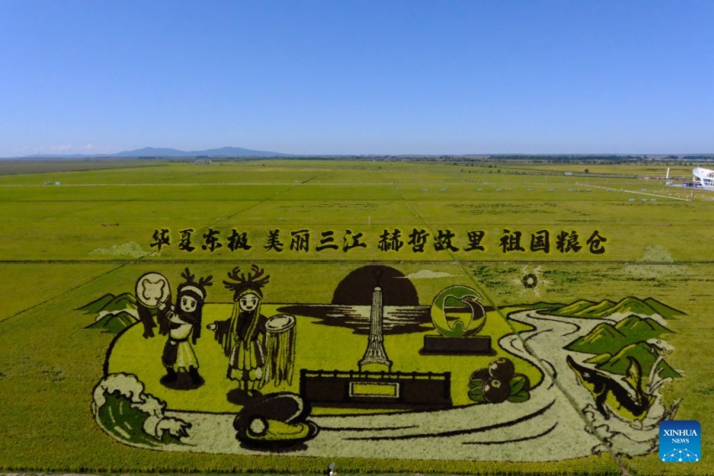 Heilongjiang : la principale province céréalière de Chine transforme ses rizières en attractions touristiques